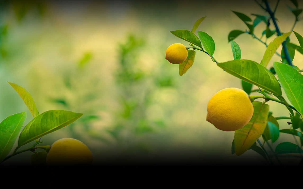 Login Full Background